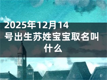 2025年12月14号出生苏姓宝宝取名叫什么
