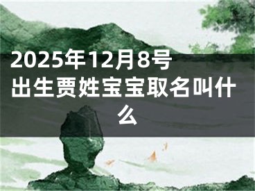 2025年12月8号出生贾姓宝宝取名叫什么