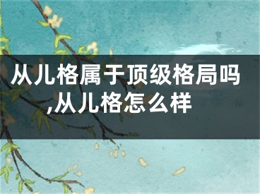 从儿格属于顶级格局吗,从儿格怎么样
