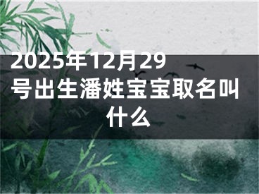 2025年12月29号出生潘姓宝宝取名叫什么