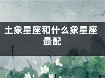 土象星座和什么象星座最配