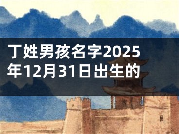 丁姓男孩名字2025年12月31日出生的