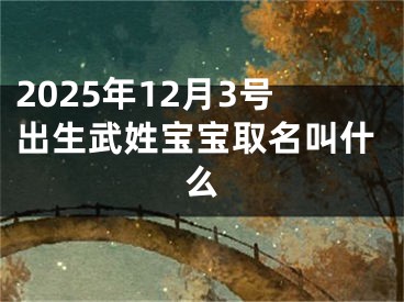 2025年12月3号出生武姓宝宝取名叫什么