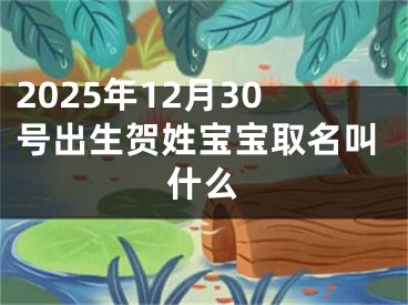 2025年12月30号出生贺姓宝宝取名叫什么