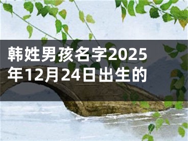 韩姓男孩名字2025年12月24日出生的