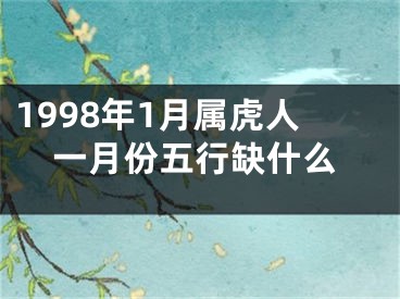 1998年1月属虎人一月份五行缺什么