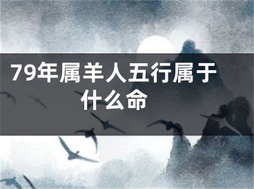 79年属羊人五行属于什么命 