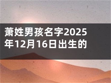 萧姓男孩名字2025年12月16日出生的