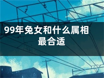 99年兔女和什么属相最合适