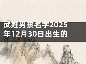 武姓男孩名字2025年12月30日出生的