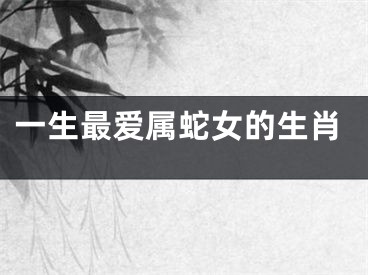 一生最爱属蛇女的生肖