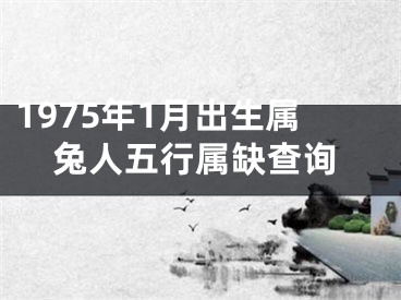 1975年1月出生属兔人五行属缺查询