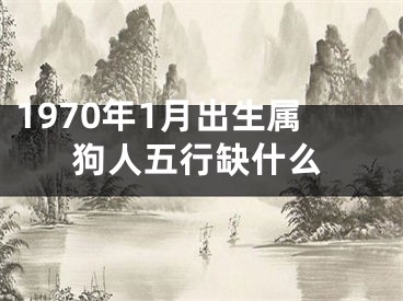 1970年1月出生属狗人五行缺什么