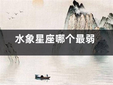 水象星座哪个最弱