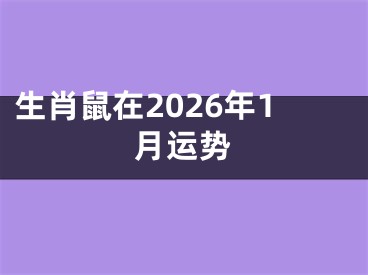 生肖鼠在2026年1月运势