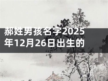 郝姓男孩名字2025年12月26日出生的
