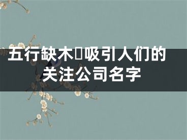 五行缺木​吸引人们的关注公司名字