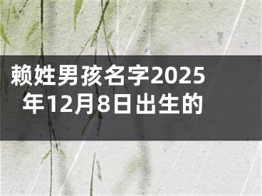 赖姓男孩名字2025年12月8日出生的
