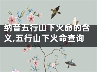 纳音五行山下火命的含义,五行山下火命查询
