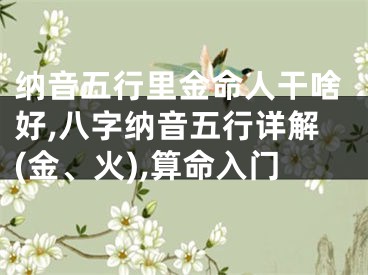 纳音五行里金命人干啥好,八字纳音五行详解(金、火),算命入门