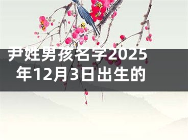 尹姓男孩名字2025年12月3日出生的