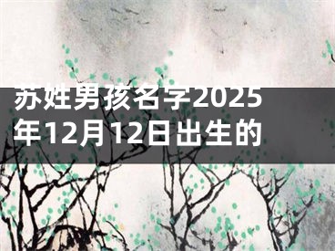 苏姓男孩名字2025年12月12日出生的