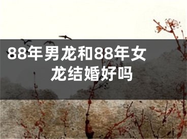 88年男龙和88年女龙结婚好吗