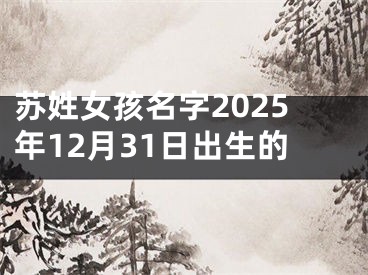 苏姓女孩名字2025年12月31日出生的