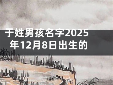 于姓男孩名字2025年12月8日出生的