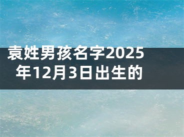 袁姓男孩名字2025年12月3日出生的