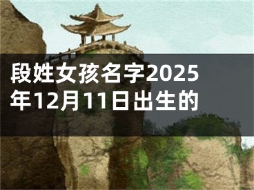 段姓女孩名字2025年12月11日出生的
