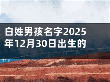 白姓男孩名字2025年12月30日出生的