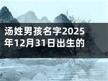 汤姓男孩名字2025年12月31日出生的