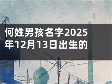 何姓男孩名字2025年12月13日出生的