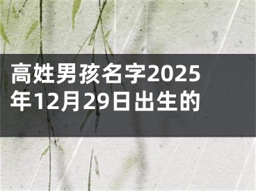 高姓男孩名字2025年12月29日出生的