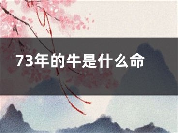 73年的牛是什么命