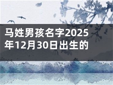 马姓男孩名字2025年12月30日出生的