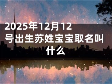 2025年12月12号出生苏姓宝宝取名叫什么
