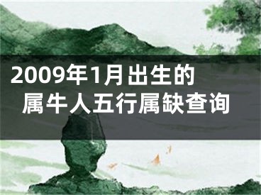 2009年1月出生的属牛人五行属缺查询