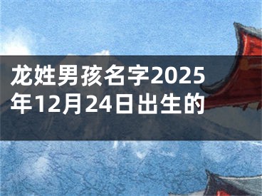 龙姓男孩名字2025年12月24日出生的