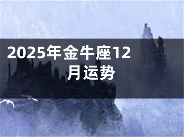 2025年金牛座12月运势