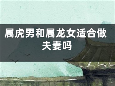 属虎男和属龙女适合做夫妻吗