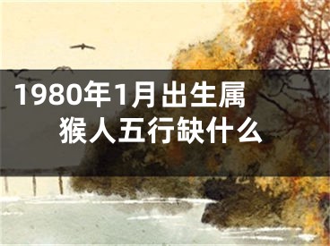 1980年1月出生属猴人五行缺什么