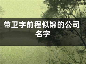 带卫字前程似锦的公司名字