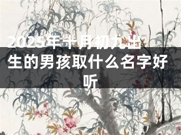 2025年十月初九出生的男孩取什么名字好听
