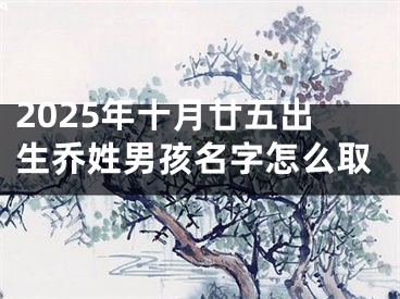 2025年十月廿五出生乔姓男孩名字怎么取