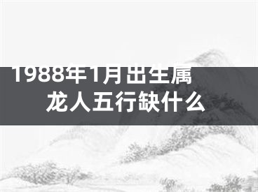 1988年1月出生属龙人五行缺什么