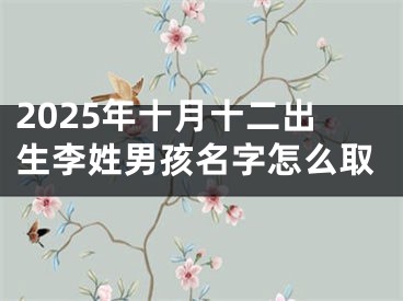 2025年十月十二出生李姓男孩名字怎么取