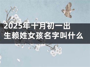 2025年十月初一出生赖姓女孩名字叫什么