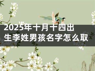 2025年十月十四出生李姓男孩名字怎么取